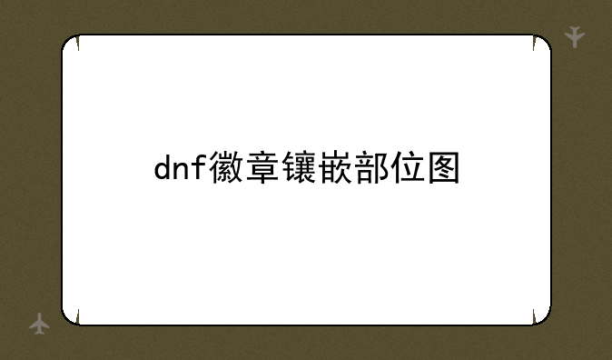 dnf徽章镶嵌部位图
