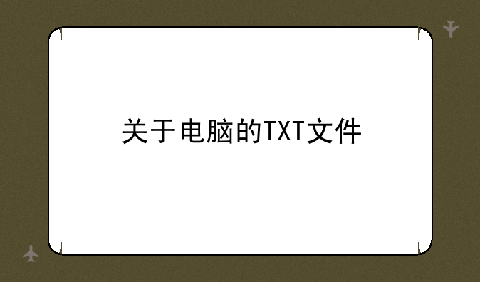 关于电脑的TXT文件