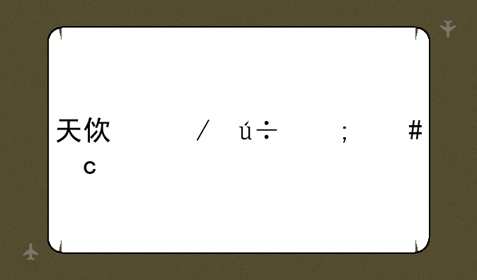 天使之羽怎么存档