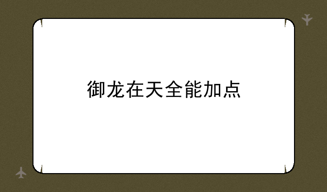 御龙在天全能加点