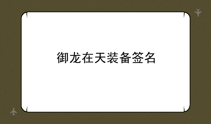 御龙在天装备签名