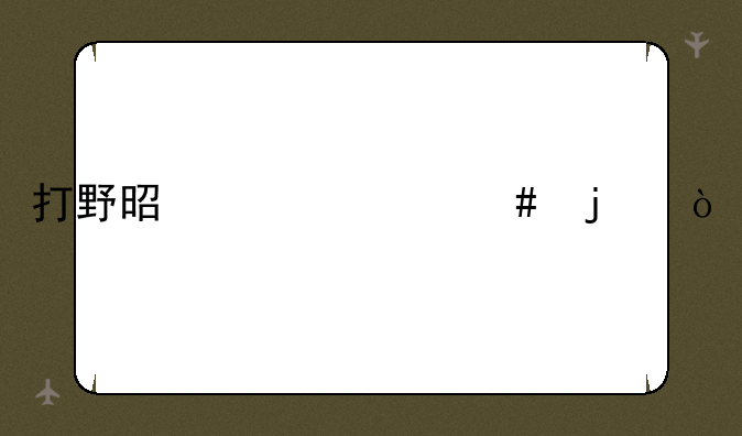 打野是干什么的？