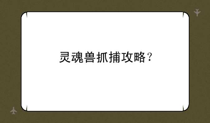 灵魂兽抓捕攻略？