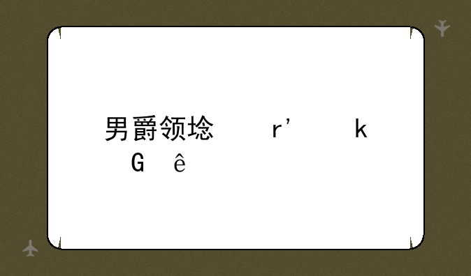 男爵领域有多少人