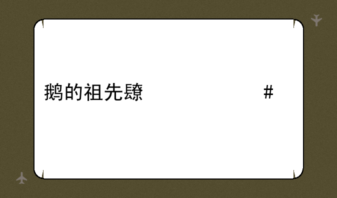 鹅的祖先长什么样