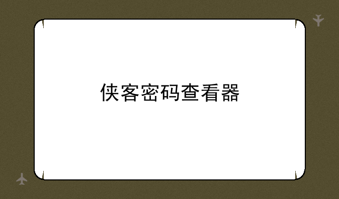 侠客密码查看器