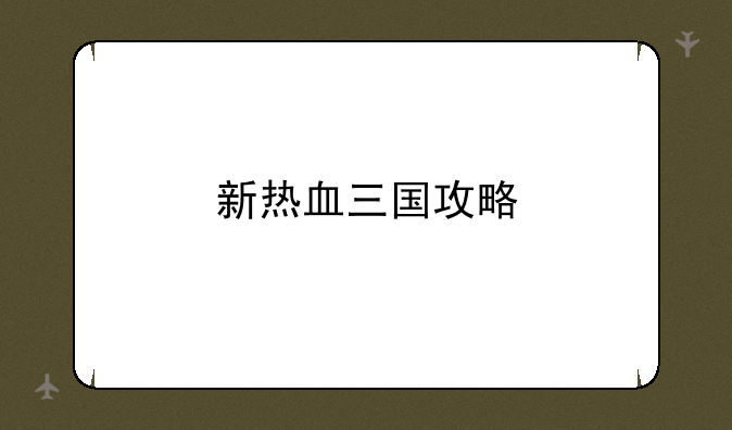 新热血三国攻略