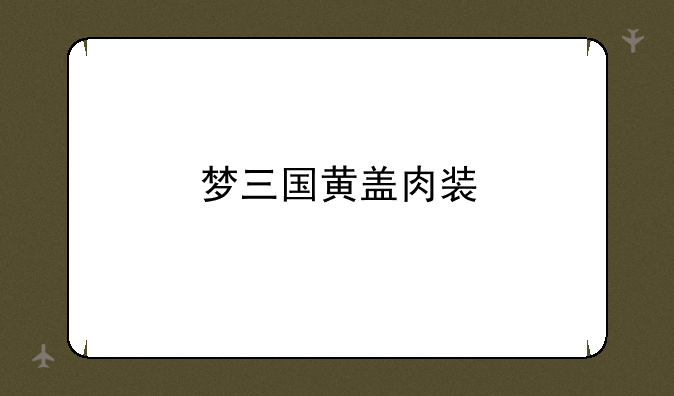 梦三国黄盖肉装