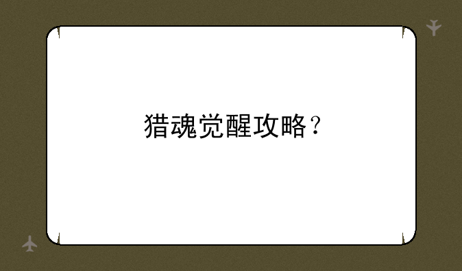 猎魂觉醒攻略？