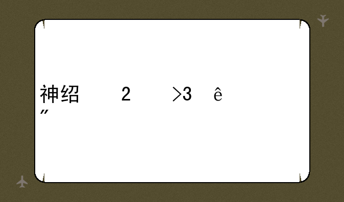 神经猫双人游戏