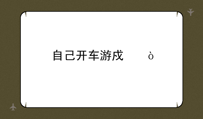 自己开车游戏？