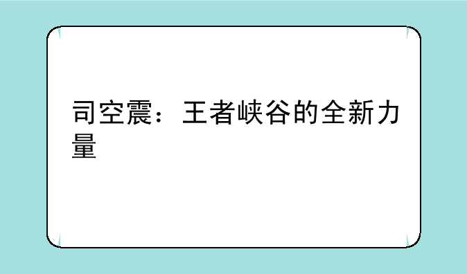 司空震：王者峡谷的全新力量