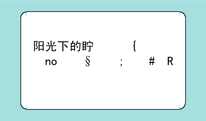 阳光下的真实第四天怎么用笔