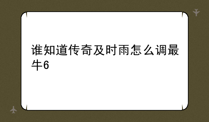 谁知道传奇及时雨怎么调最牛??
