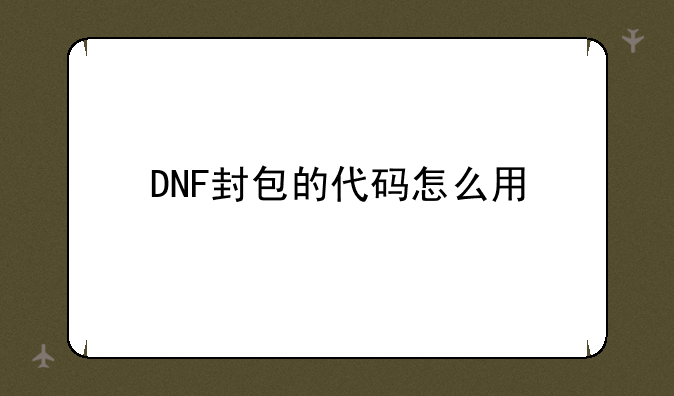 DNF封包的代码怎么用