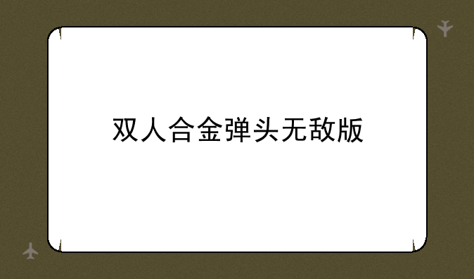 双人合金弹头无敌版