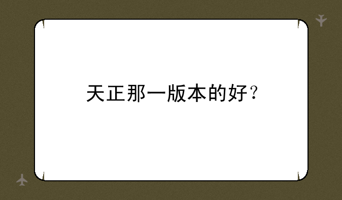天正那一版本的好？