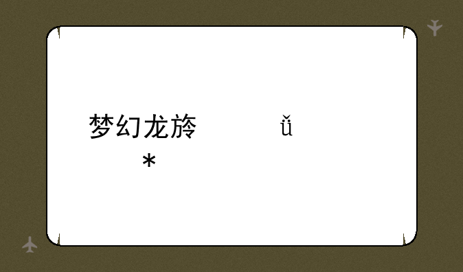 梦幻龙族影武者加点