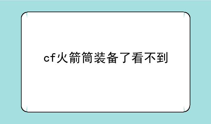 cf火箭筒装备了看不到