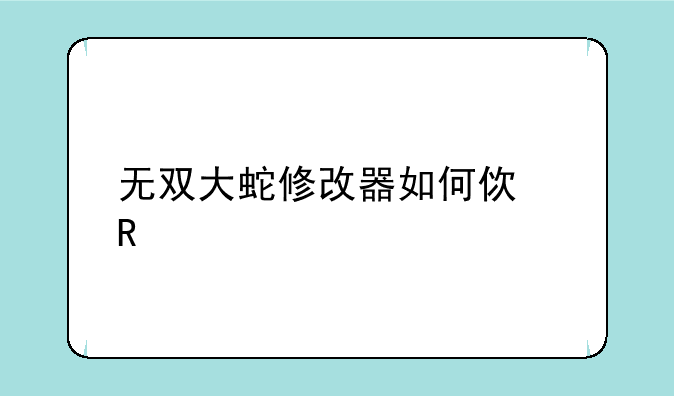 无双大蛇修改器如何使用