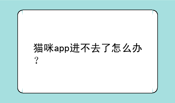 猫咪app进不去了怎么办？