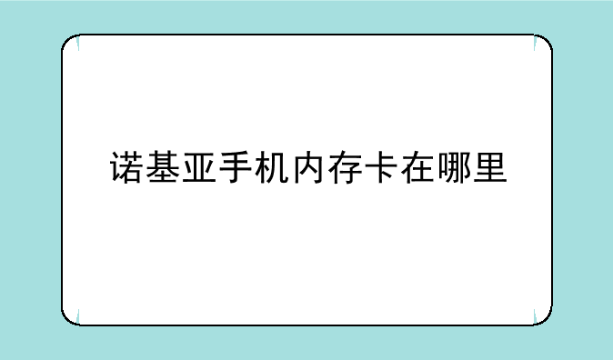 诺基亚手机内存卡在哪里