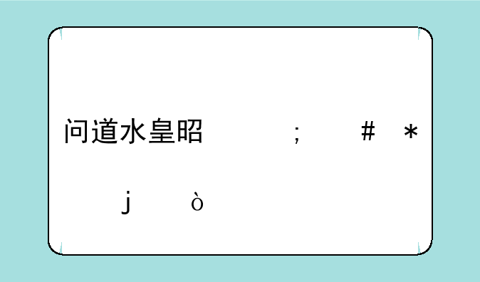 问道水皇是怎么加点的？