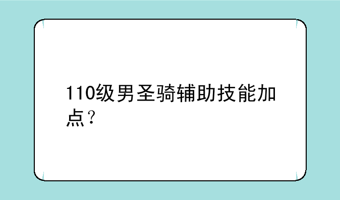 110级男圣骑辅助技能加点？