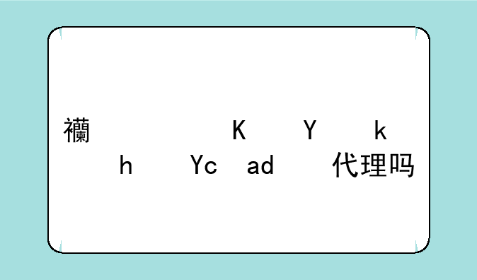 西西三国游戏可以代理吗？
