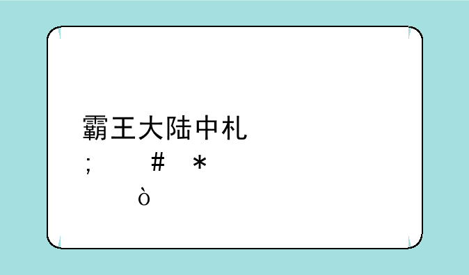 霸王大陆中术士怎么加点？