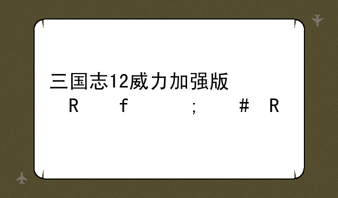 三国志12威力加强版修改器怎么用
