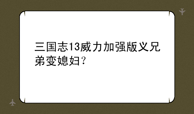 三国志13威力加强版义兄弟变媳妇？