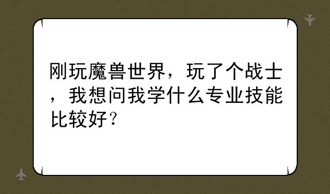 刚玩魔兽世界，玩了个战士，我想问我学什么专业技能比较好？