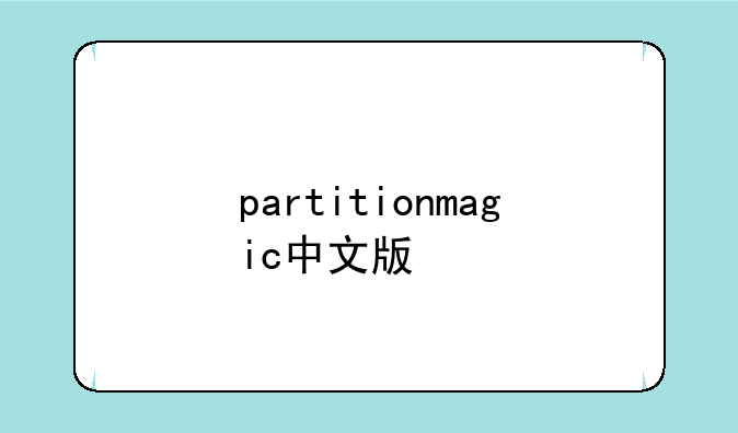 partitionmagic中文版