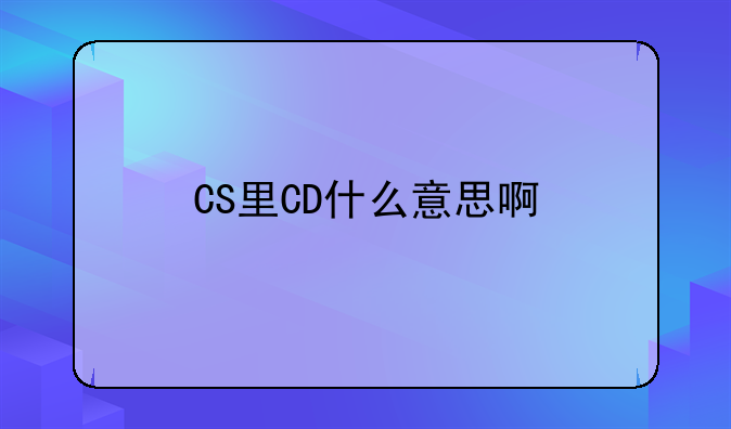 CS里CD什么意思啊