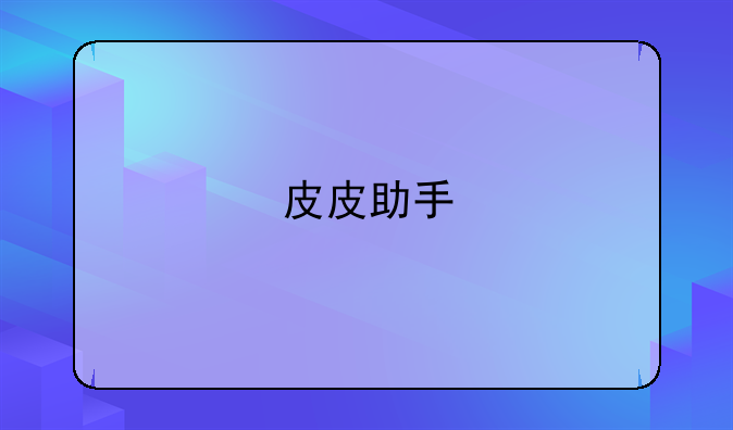 皮皮助手