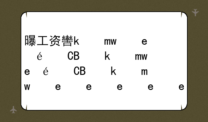 曝工资软件电脑版__工资软件哪个好用