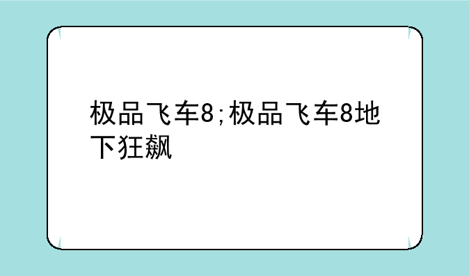 极品飞车8;极品飞车8地下狂飙
