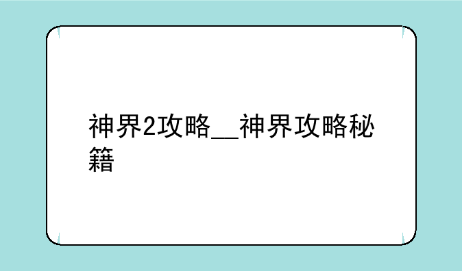 神界2攻略__神界攻略秘籍