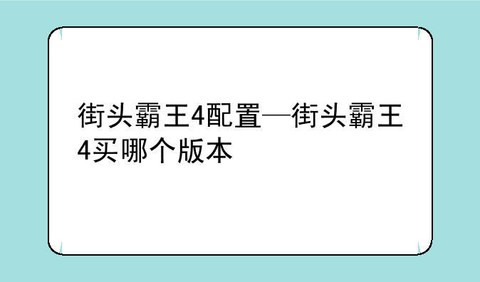 街头霸王4配置—街头霸王4买哪个版本