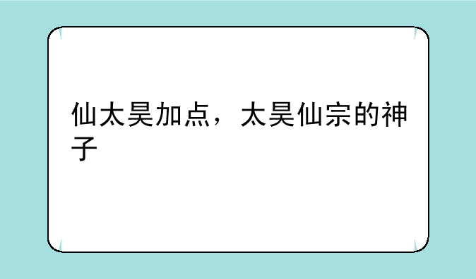 仙太昊加点，太昊仙宗的神子