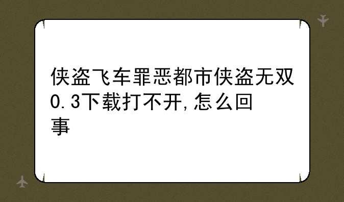 侠盗飞车罪恶都市侠盗无双0.3下载打不开,怎么回事