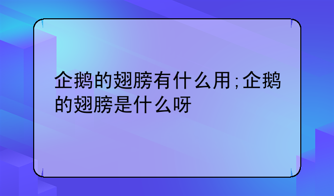 企鹅的翅膀有什么用;企鹅的翅膀是什么呀