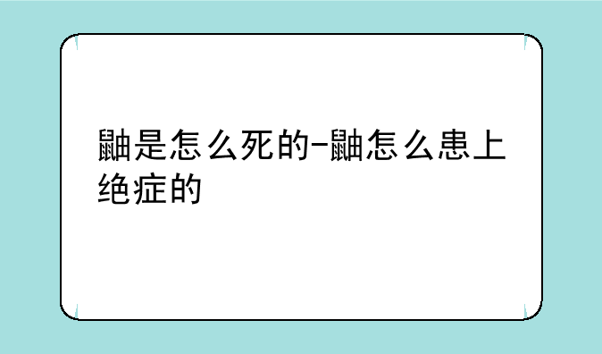 鼬是怎么死的-鼬怎么患上绝症的