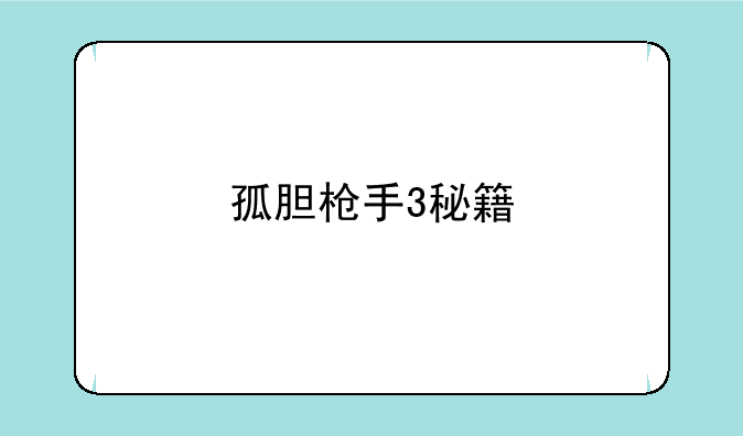 孤胆枪手3秘籍