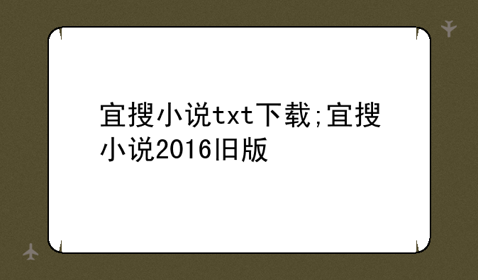 宜搜小说txt下载;宜搜小说2016旧版