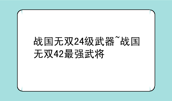 战国无双24级武器~战国无双42最强武将