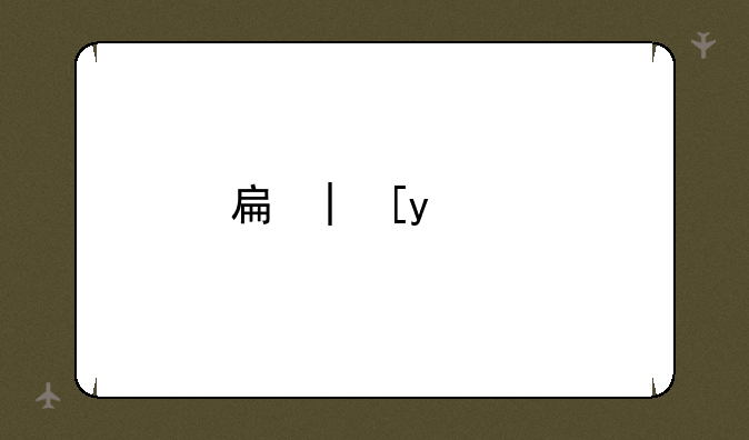 手机dnf——手机dnf单机汉化版