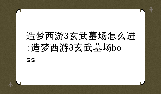 造梦西游3玄武墓场怎么进:造梦西游3玄武墓场boss